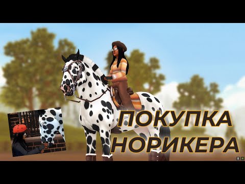 Видео: ПОКУПКА НОРИКЕРА | star srable online noriker