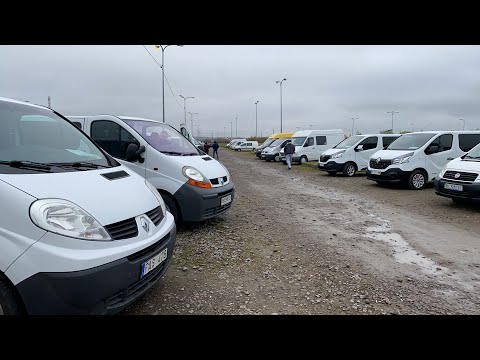 Видео: Буси. Авторинок і ціна.