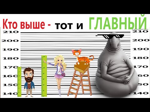 Видео: Приколы! КТО ВЫШЕ - тот и ГЛАВНЫЙ! Смешные видео - Доми шоу!
