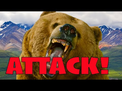 Видео: Новые нападения гризли | Полмиллиона черных медведей в США | ЧТО ПРОИСХОДИТ?