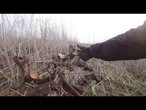 Видео: КОП МЕТАЛЛОЛОМА ВЕСНОЙ. ПОЙДЕТ.