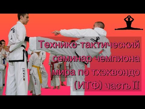 Видео: Технико-тактический семинар Чемпиона  Мира по тхэквондо (ИТФ) часть II
