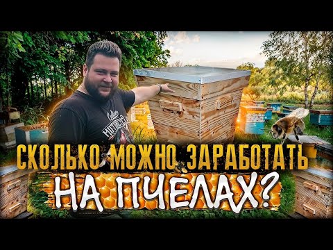 Видео: МОЖНО ЛИ СТАТЬ МИЛЛИОНЕРОМ?/БИЗНЕС В ДЕРЕВНЕ 🤑