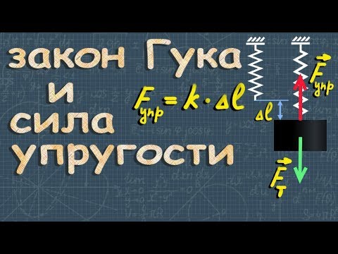 Видео: СИЛА УПРУГОСТИ закон Гука 7 класс физика Перышкин