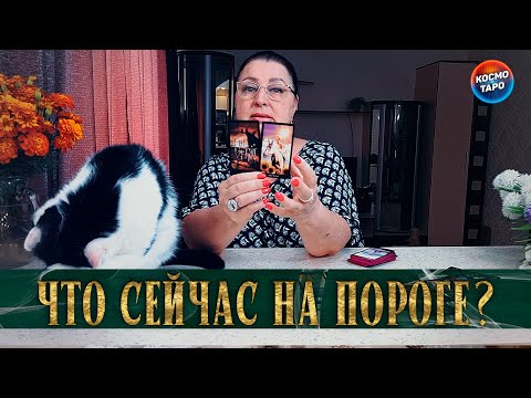 Видео: ЧТО НА ПОРОГЕ, ЧТО НА ДОРОГЕ? ПОТОК!