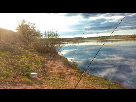 Видео: ВОЛГА ДОНКИ КРОКОДИЛ клюют все Я В ШОКЕ Russian fishing