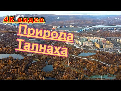 Видео: Талнах с высоты. 4К видео