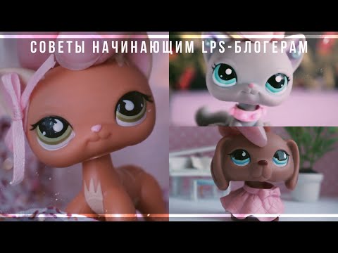 Видео: LPS: Советы начинающим lps-блогерам || СОВМЕСТНО С LPS Toffee и -Naomi-