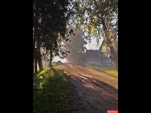 Видео: Шамбала – Би-2 (Speed song)