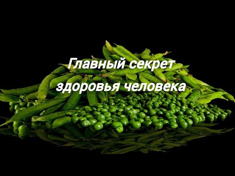 Видео: Гены плодородия/Взаимосвязь генома человека и микробов № 386/24