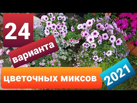 Видео: Мои цветочные композиции/ Цветочные миксы для кашпо, вазонов и балконных ящиков