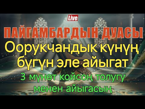 Видео: Пайгамбарыбыз ﷺ айткан шыпаа дуба 💫 