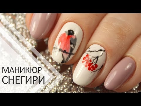 Видео: Зимний маникюр Снегири. Рисунок гель-лаком.  Зимний дизайн