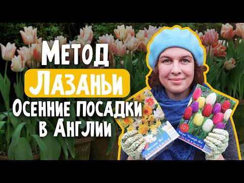 Видео: Посадка луковичных слоями. Метод лазаньи.