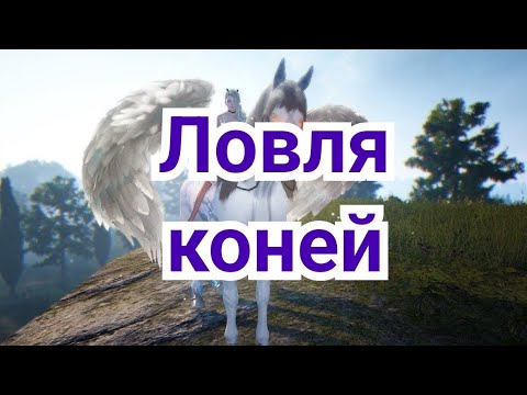 Видео: 2 ) Ловля коней  Ограничение  подвижности .  ( Нимцович)  Стратегия.