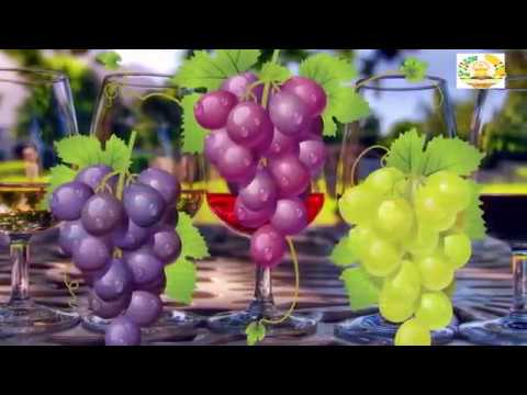 Видео: 00201."НЕЪМАТҲОИ ҶАННАТ-2" МАВЛАВИ МУЪИНУДДИН