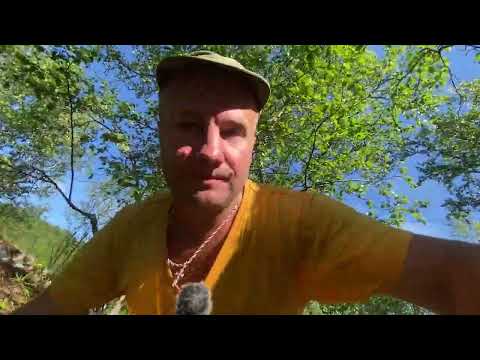 Видео: QRP из Леса первые испытания трансивера Сверчок