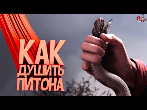 Видео: Как душить питона ( RUST / PUBG / GTA RP / Wolfenstein YB )