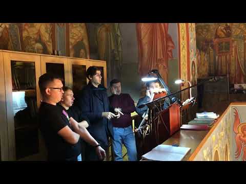 Видео: Д БОРТНЯНСКИЙ ХЕРУВИМСКАЯ ПЕСНЬ №7