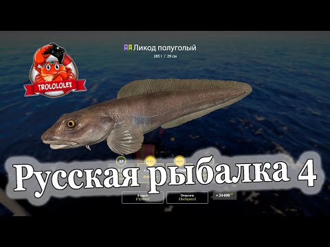 Видео: Русская рыбалка 4 Редкие виды Норвежское море Ликод