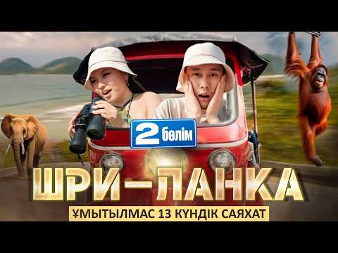 Видео: Шри-Ланка, 2-ші бөлім! Сафари, Үнді мұхиты және серфинг!