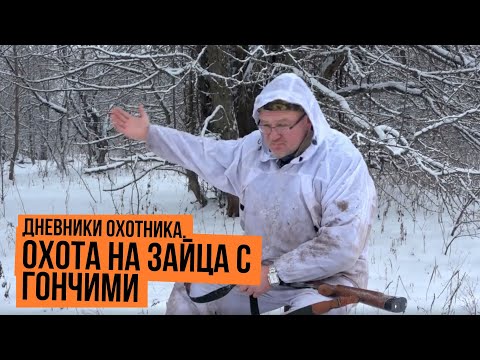 Видео: Охота на зайца с гончими \ Дневники охотника \ Сезон 2