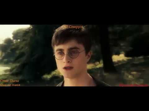 Видео: Что Джеймс Поттер думает о других