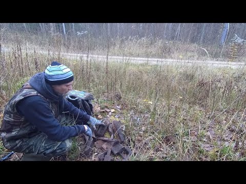 Видео: Первый выход на поиски металла, в этом году. 8 ноября 2025 г.