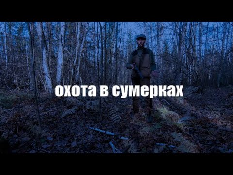 Видео: Охота на уток в сумерки I Как стрелять при плохой видимости