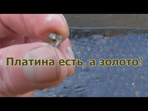 Видео: Платина есть. А золото?