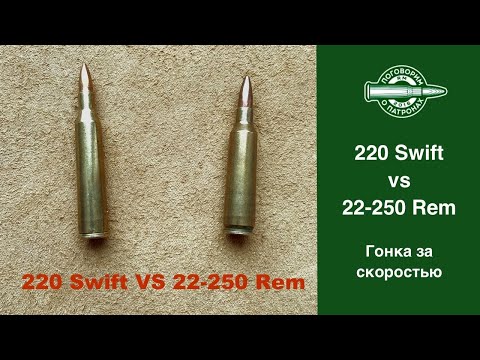 Видео: 220Swift vs 22-250Rem. Гонка за скоростью
