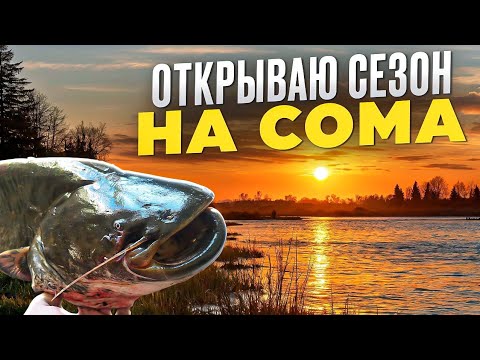 Видео: Первая рыбалка на сома 2025. Есть трофей! Рыбалка в Беларуси.