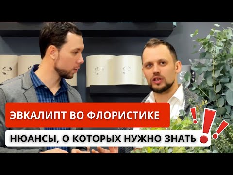 Видео: ❓ КАК ПРАВИЛЬНО РАБОТАТЬ С ЭВКАЛИПТОМ? Наш опыт и советы: как правильно закупать, хранить, учитывать