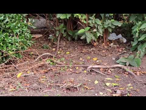 Видео: Брокера воруют наши деньги / завтрак в отеле