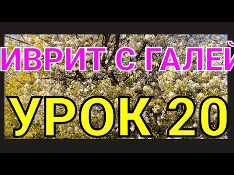 Видео: ИВРИТ С ГАЛЕЙ. УРОК 20. Продолжаем проверять себя!