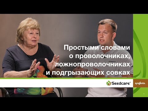 Видео: Простыми словами о проволочниках, ложнопроволочниках и подгрызающих совках