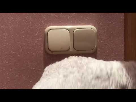 Видео: Как легко и быстро чистить розетки и выключатели
