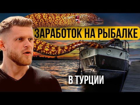 Видео: Ночная рыбалка в Турции / Аланья. Рыбный бизнес. Рыбный рынок / Paragadi / Ресторан «My balikçim»