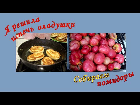 Видео: Я решила испечь оладушки Собираем помидоры