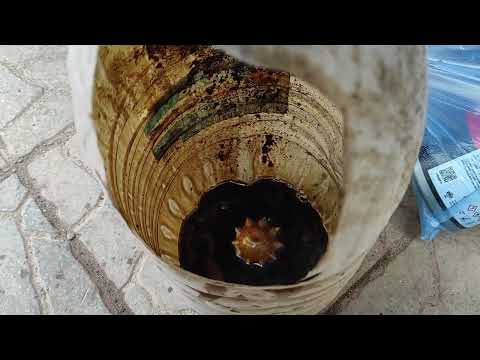 Видео: Раскоксовка тойоты виш лавром