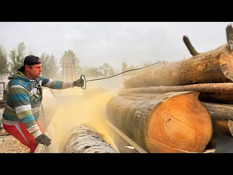 Видео: Тонна пыли, гигантские бревна - Лесопилка 24/7