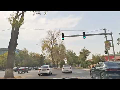 Видео: Ташкент... 9 октябрь 2025