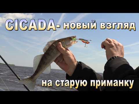 Видео: CICADA-новый взгляд на старую приманку