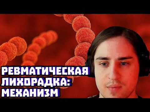 Видео: Ревматическая лихорадка: механизм | Владимир Алипов
