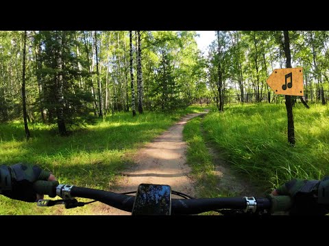 Видео: Кузьминки 🌳 Душевная