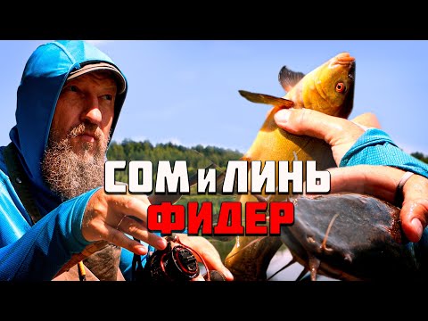 Видео: НА ЧТО ПОЙМАЮ БОЛЬШЕ? ФИДЕР ИЛИ ФЛЭТ? ДАЛАЕМ СТАВКИ!!!