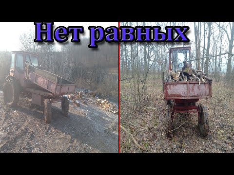 Видео: Он лучший! Какой трактор купить для маленького Хозяйства?