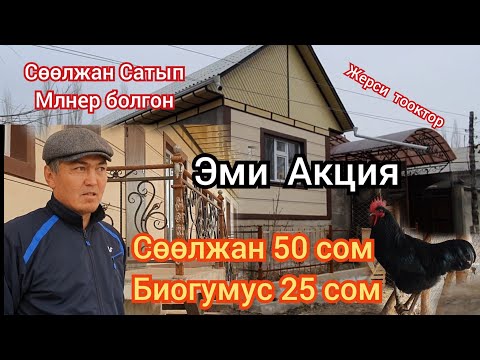 Видео: Алмаз акеде  1 кг Сөөлжан 50 сом БИОГУМУС 25сом