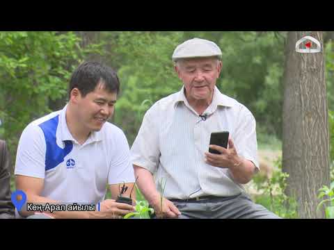 Видео: Мыкты салбуурунчулар, саяпкерлер, дүйнөгө таанымал спортчулар чыккан Кең-Арал айылы / Биздин айыл