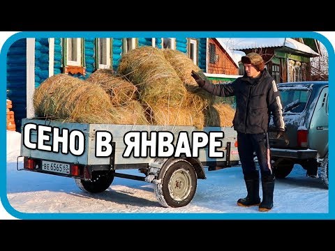 Видео: ДОКАТИЛИСЬ! ЗАГОТОВКА СЕНА В ЯНВАРЕ! ОБЗОР КРОЛИКОВ!